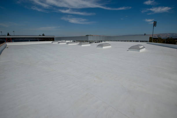 Best Sheet Metal Roofing  in Willoughby Hills, OH